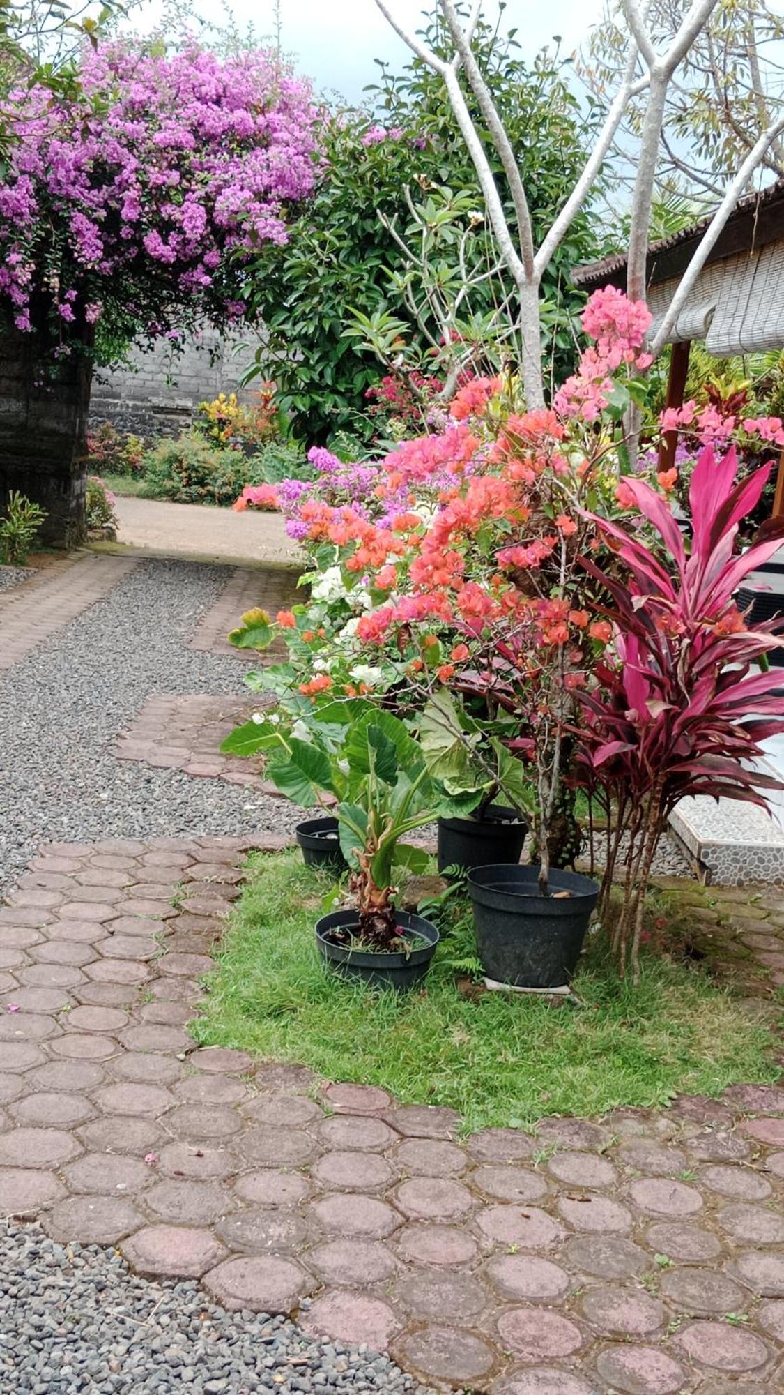 House Market サイドメン 部屋 写真
