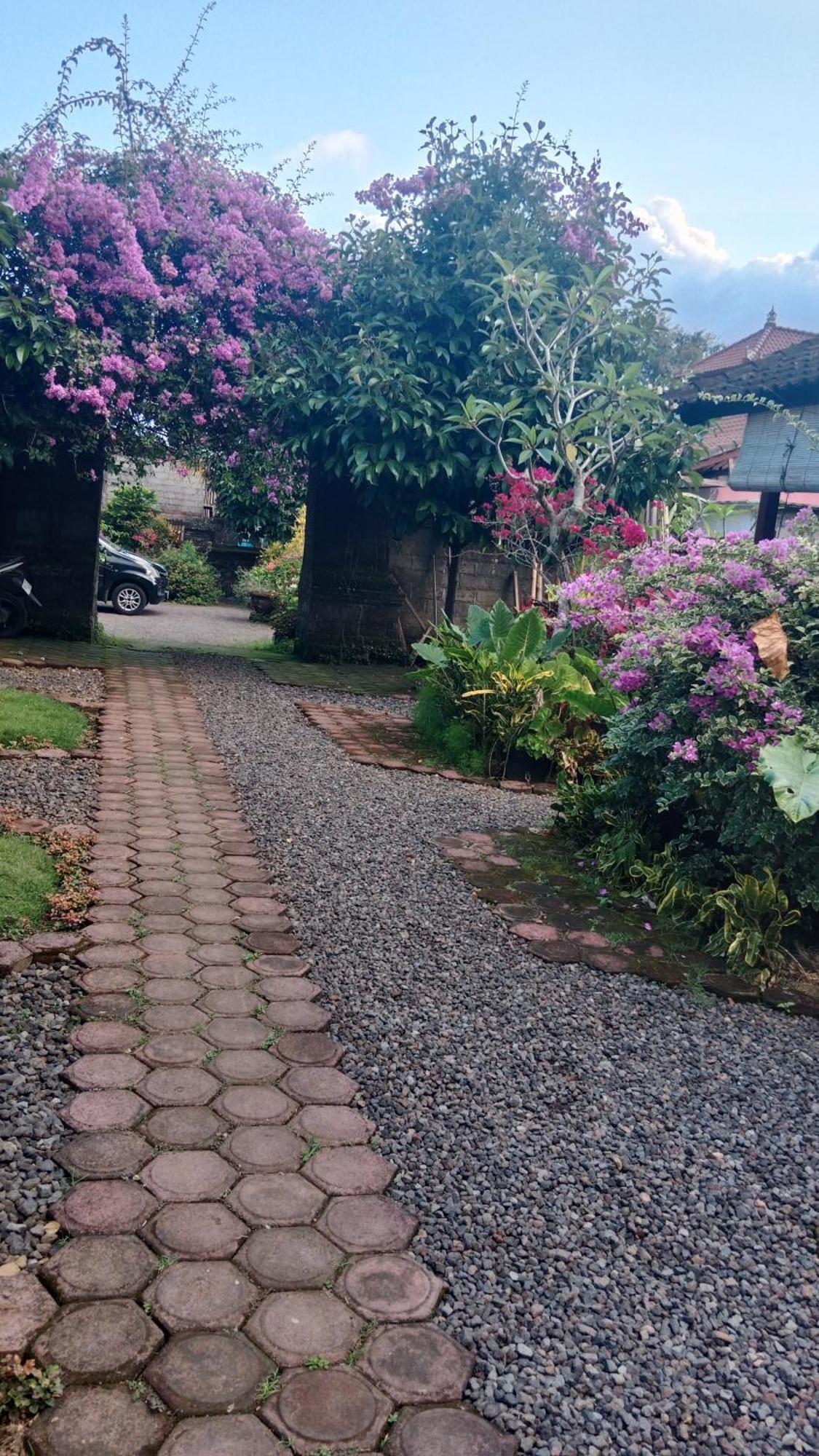 House Market サイドメン 部屋 写真